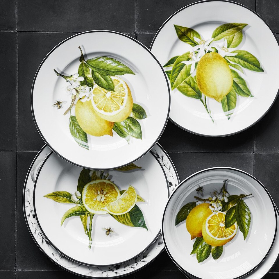 Meyer Lemon Dinnerware Collection - Williams Sonoma Australia